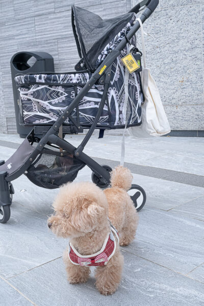 dog parking w/ water bottle hanger & Poo Bag Holder |  泊狗D扣 (連水樽扣&臭臭袋) - Image 7