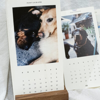 custom pet calendar | 寵物月曆
